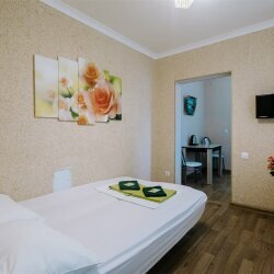 Гостиница Мира Ростов-на-Дону-46