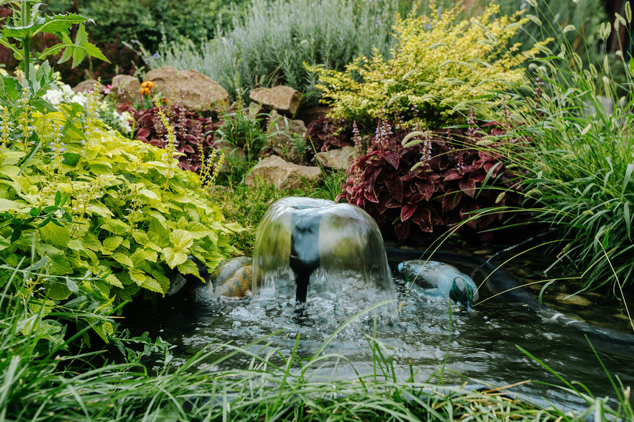 Гостиница Мира Ростов-на-Дону-55