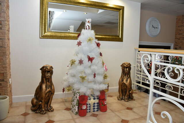 Гостиница Мира Ростов-на-Дону-31